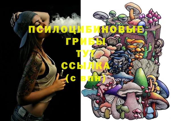 таблы Покровск