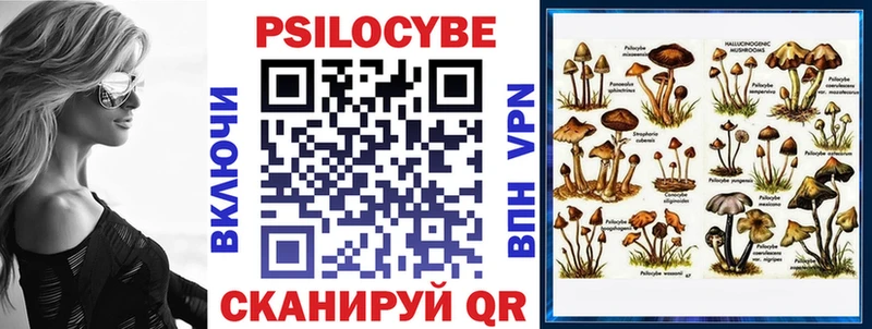Галлюциногенные грибы Psilocybe  Старый Крым 